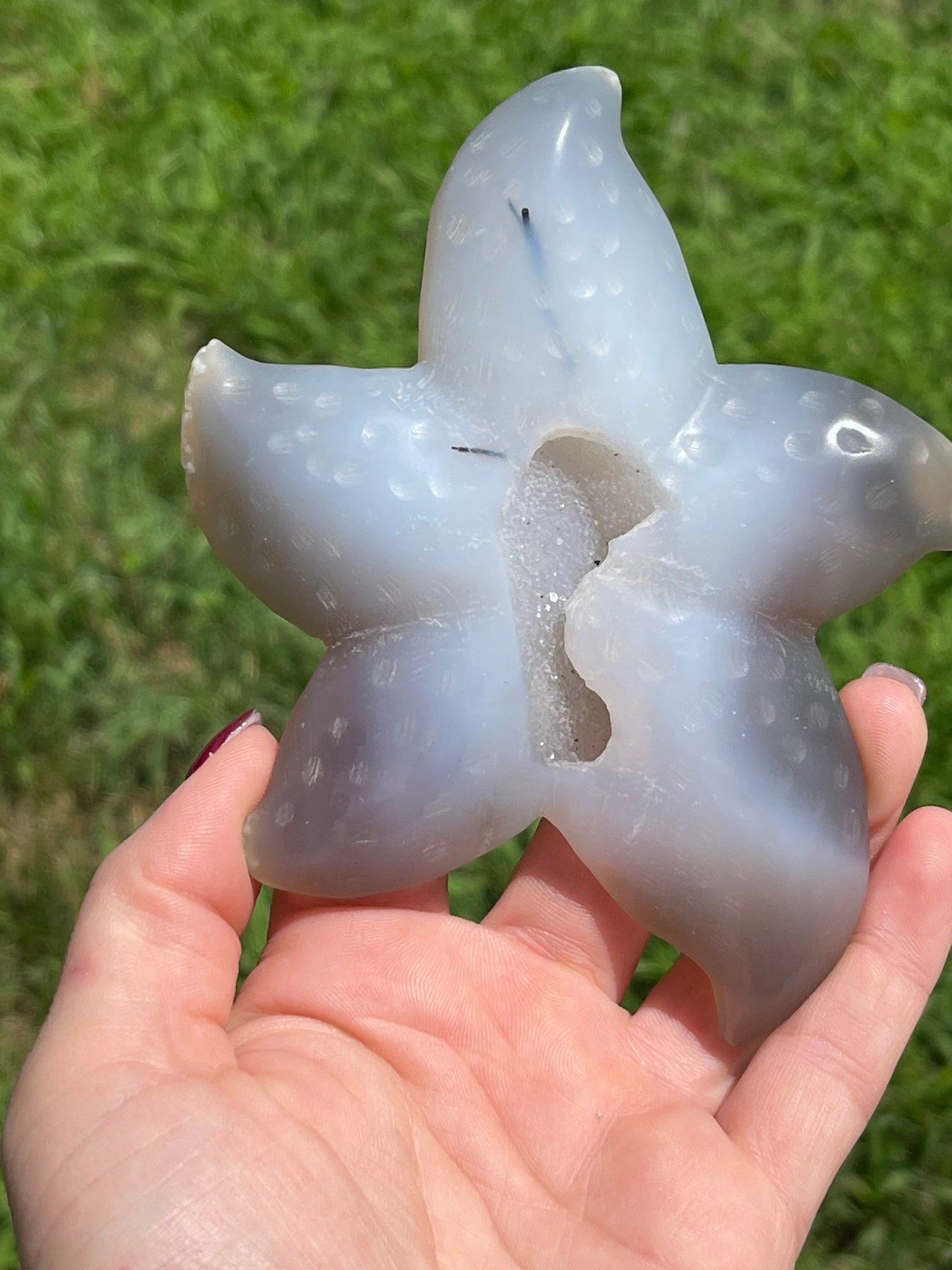 Druzy Agate Starfish with Tourmaline