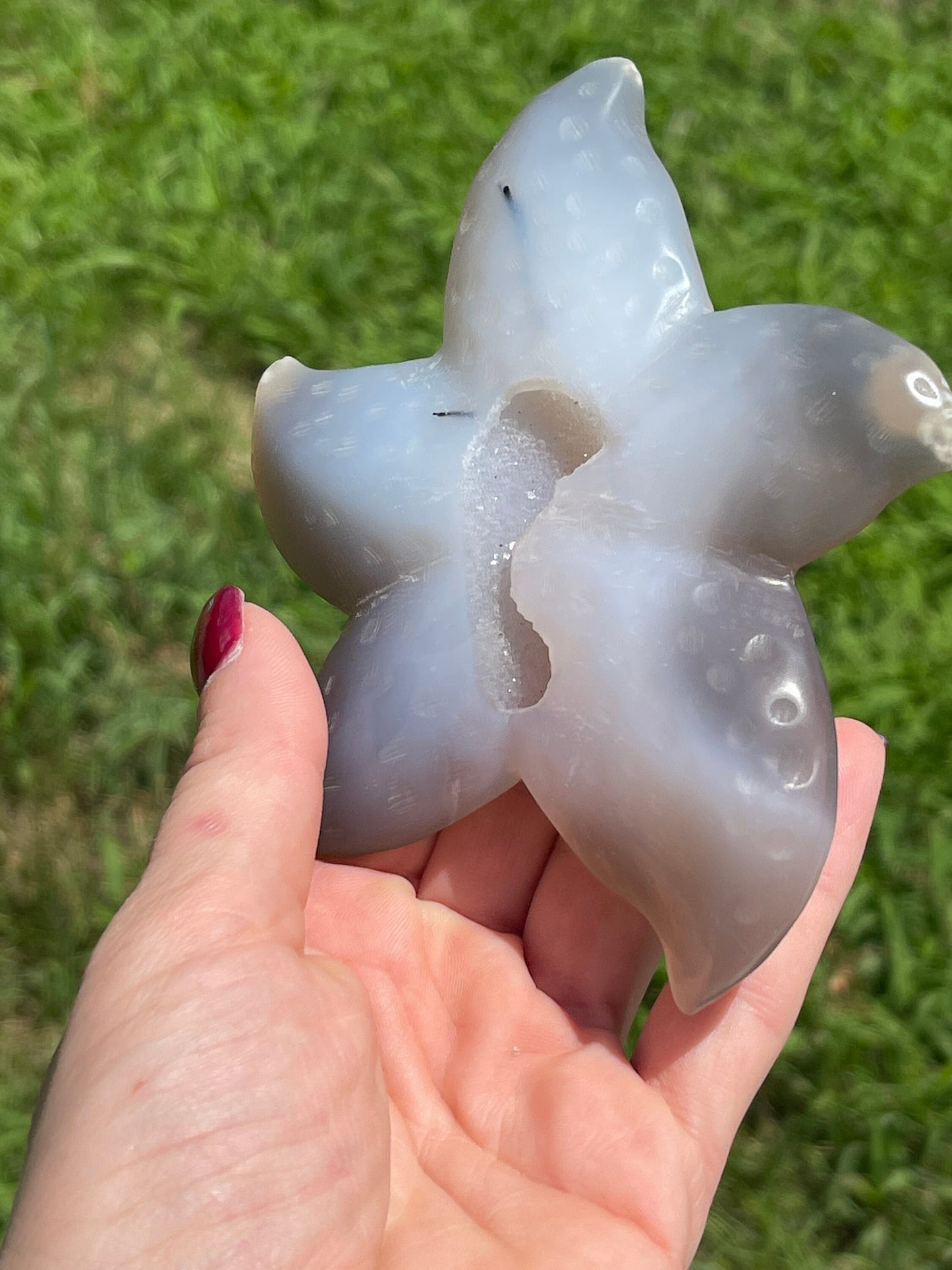 Druzy Agate Starfish with Tourmaline
