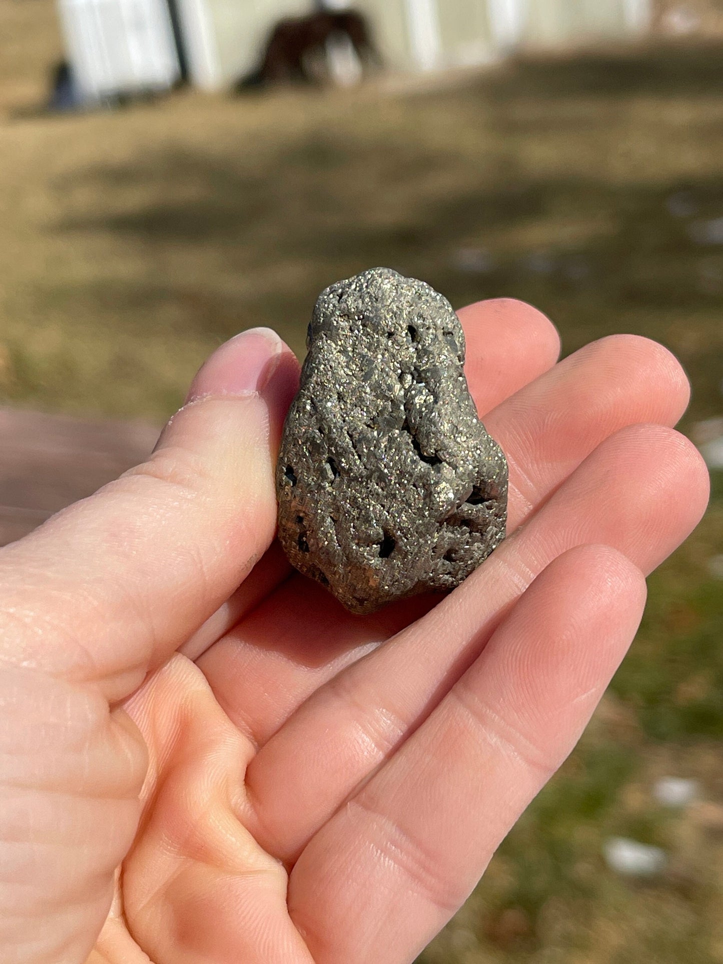 Raw Pyrite Crystal