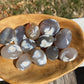 1 Orca Agate Palm Stone
