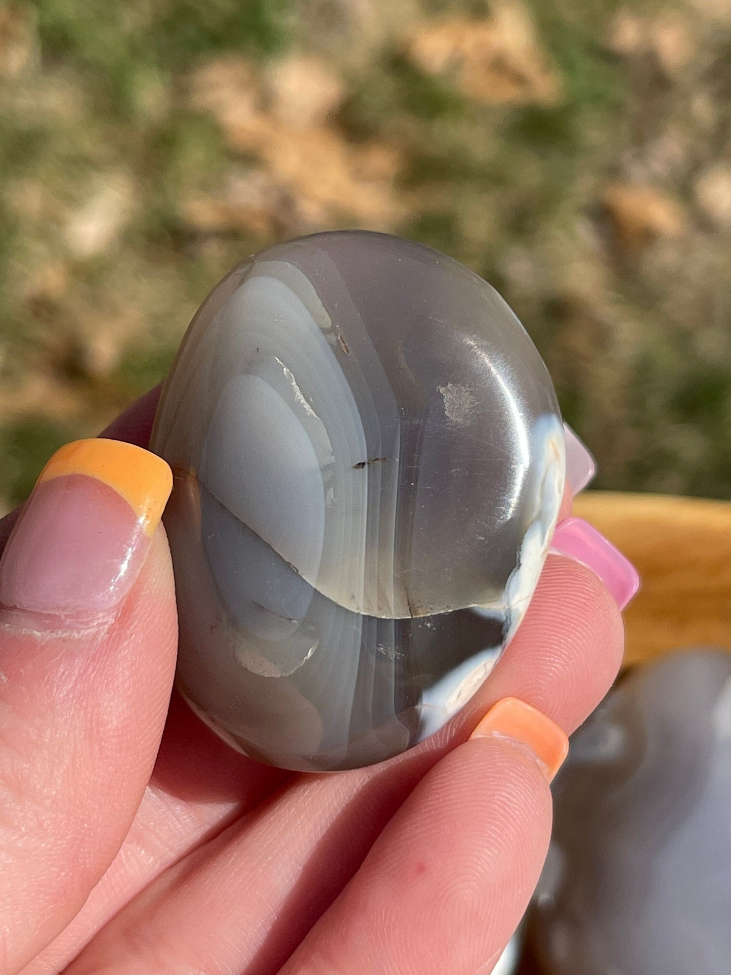 1 Orca Agate Palm Stone