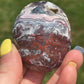 Mexican Crazy Lace Agate Palm Stone