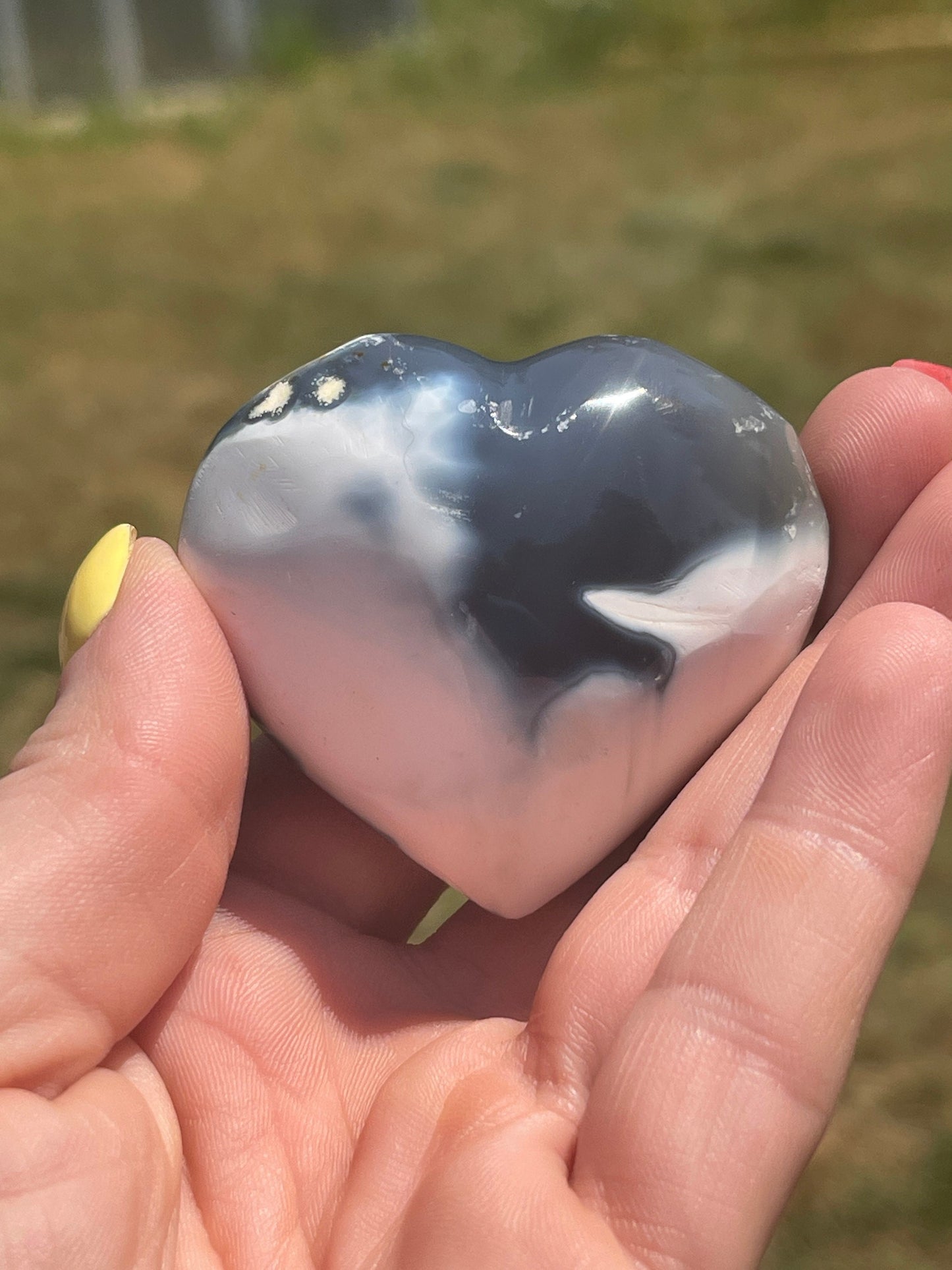 Orca Agate Heart Palm Stone