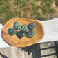 Ruby Zoisite Heart Carving