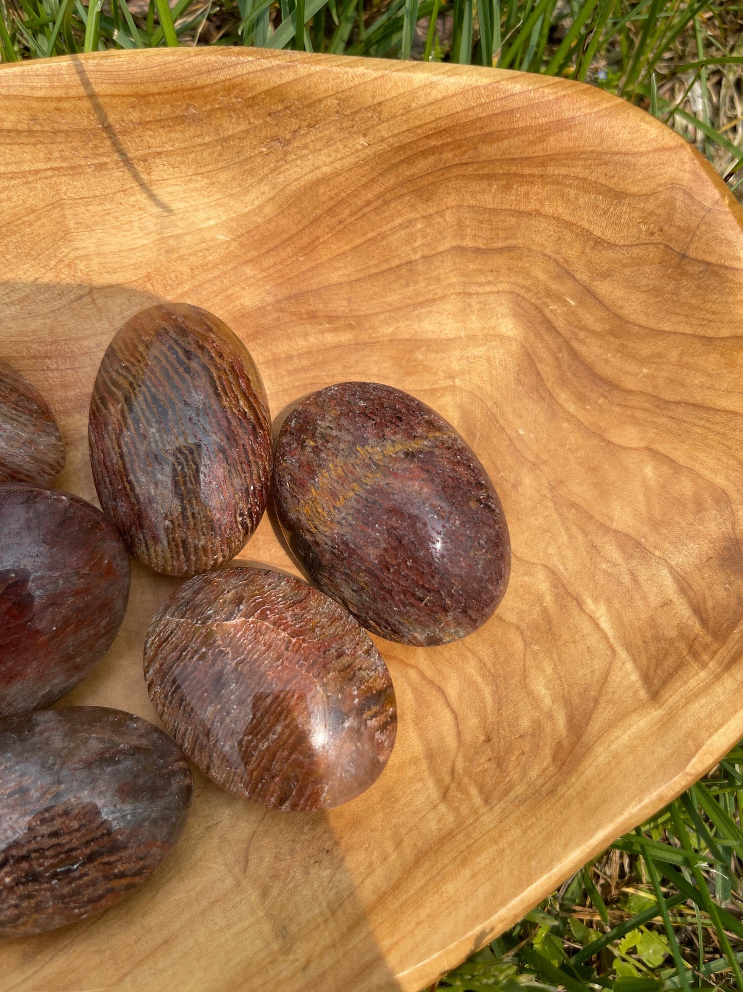 Thousand Layer Lodolite Palm Stone