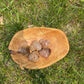 Lodolite Heart Palm Stone: Thousand Layer Garden Quartz Crystal
