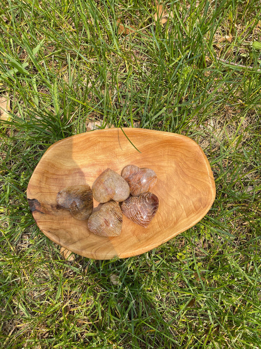 Lodolite Heart Palm Stone: Thousand Layer Garden Quartz Crystal