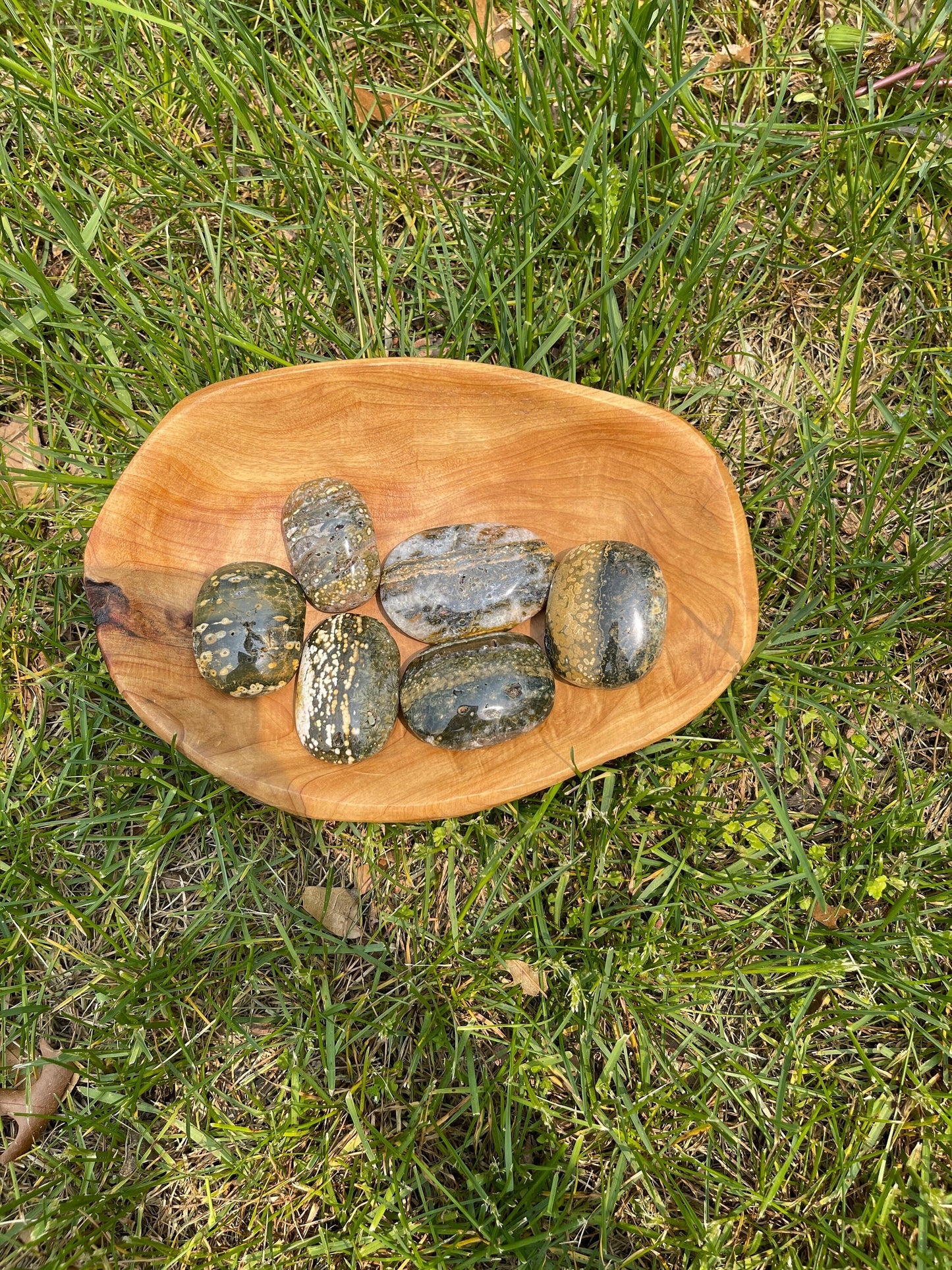 Druzy Ocean Jasper Palm Stone with Quartz