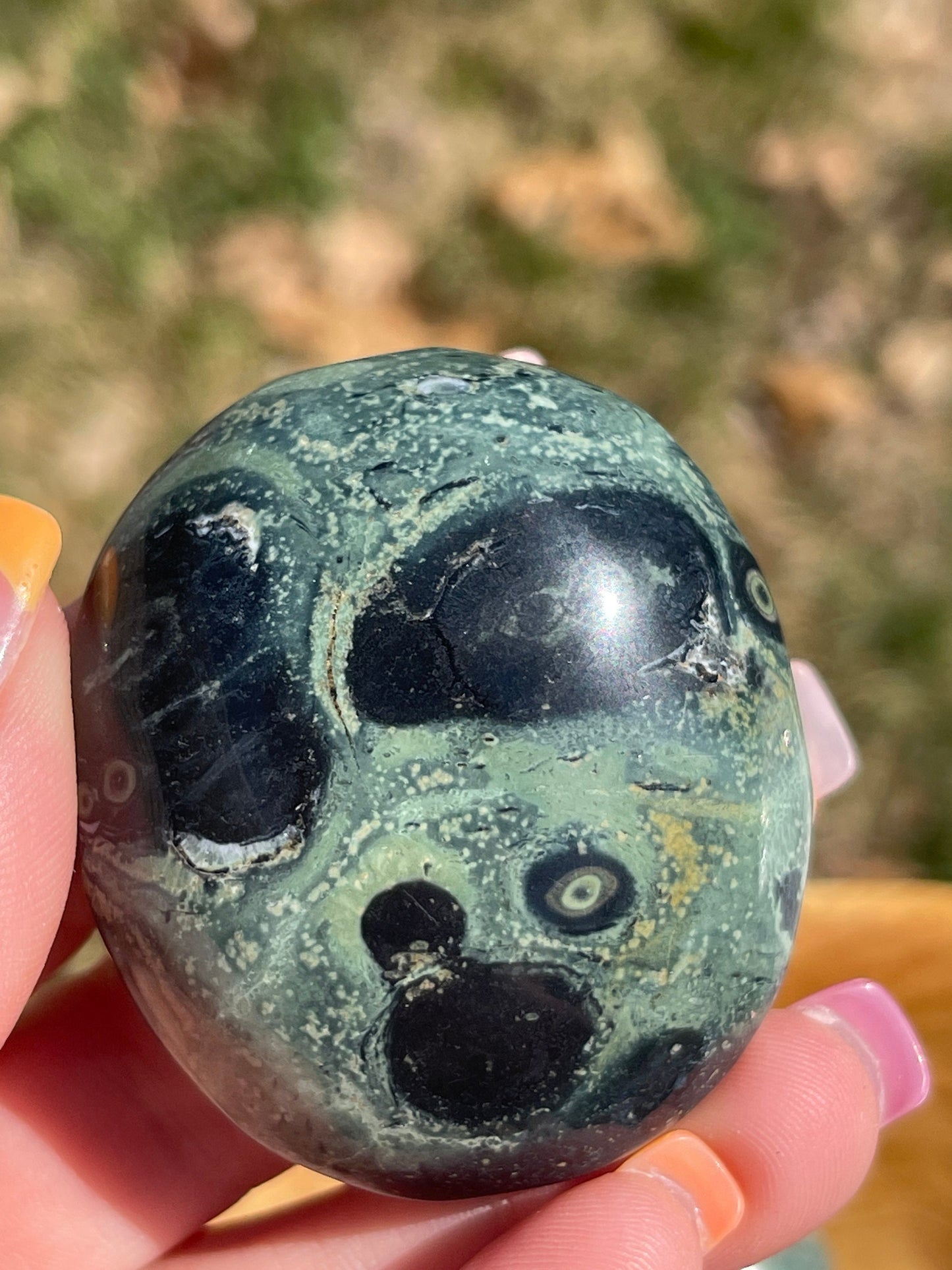 Kambaba Jasper Palm Stone