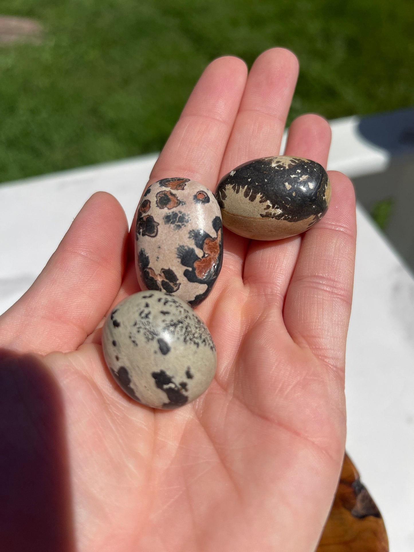 1 Dendritic Jasper Crystal Tumble