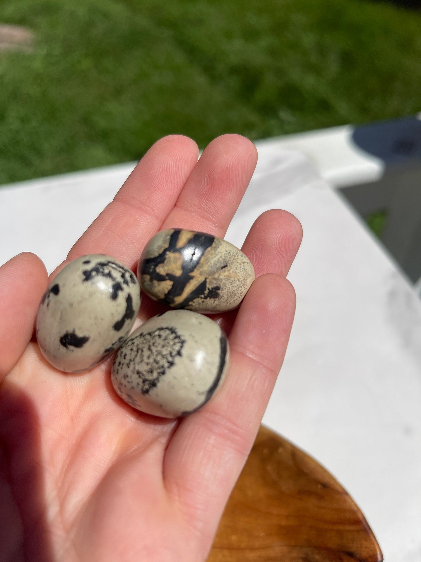 1 Dendritic Jasper Crystal Tumble