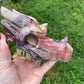 Heavy Mookaite Dragon Head Carving
