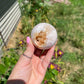 Flower Agate Sphere with Druzy
