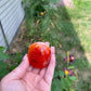 Carnelian Palm Stone