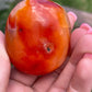 Carnelian Palm Stone