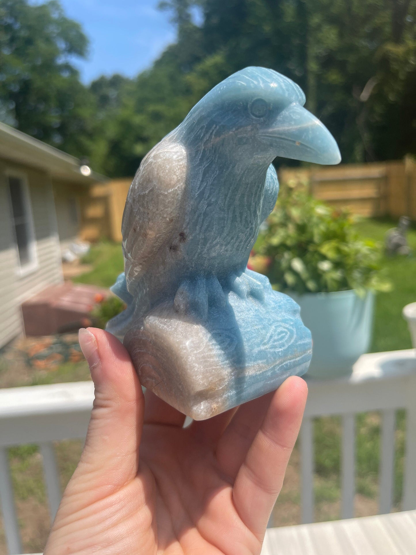 Trolleite Crystal Raven Carving: Meditation Stone, Animal Carving
