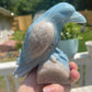 Trolleite Crystal Raven Carving: Meditation Stone, Animal Carving