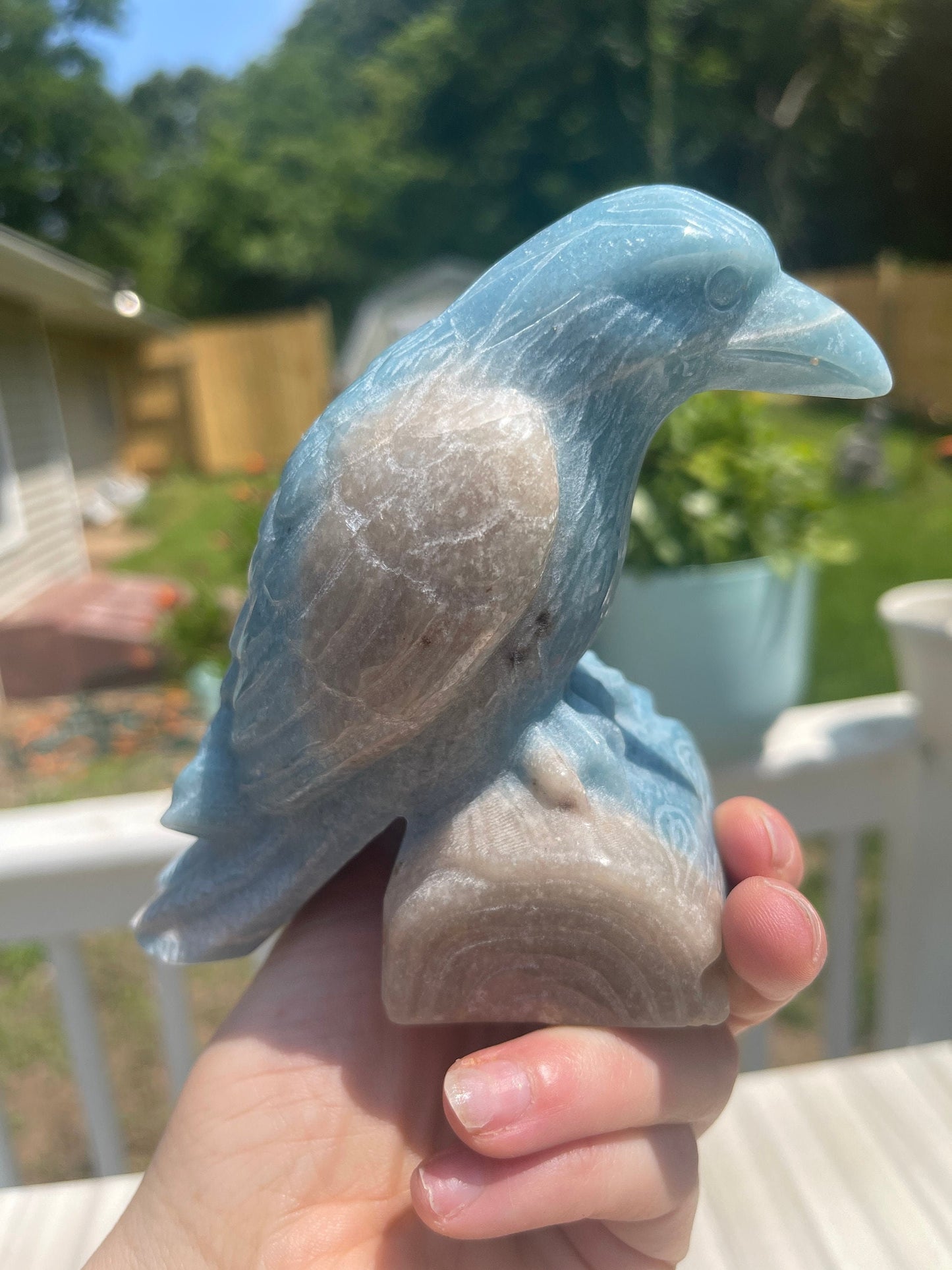 Trolleite Crystal Raven Carving: Meditation Stone, Animal Carving