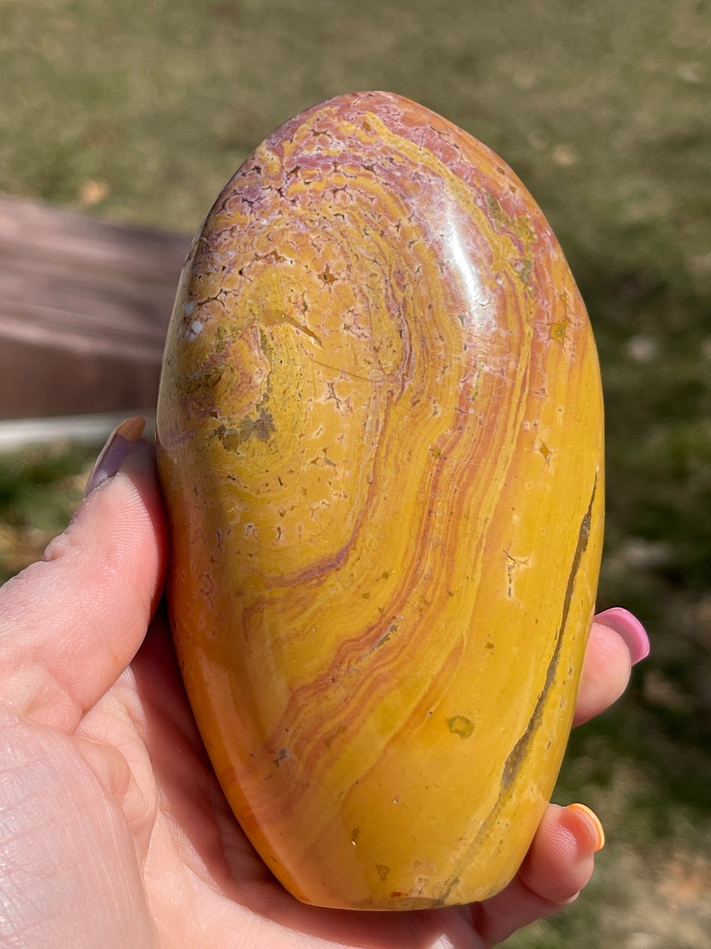 Orbicular Ocean Jasper Freeform