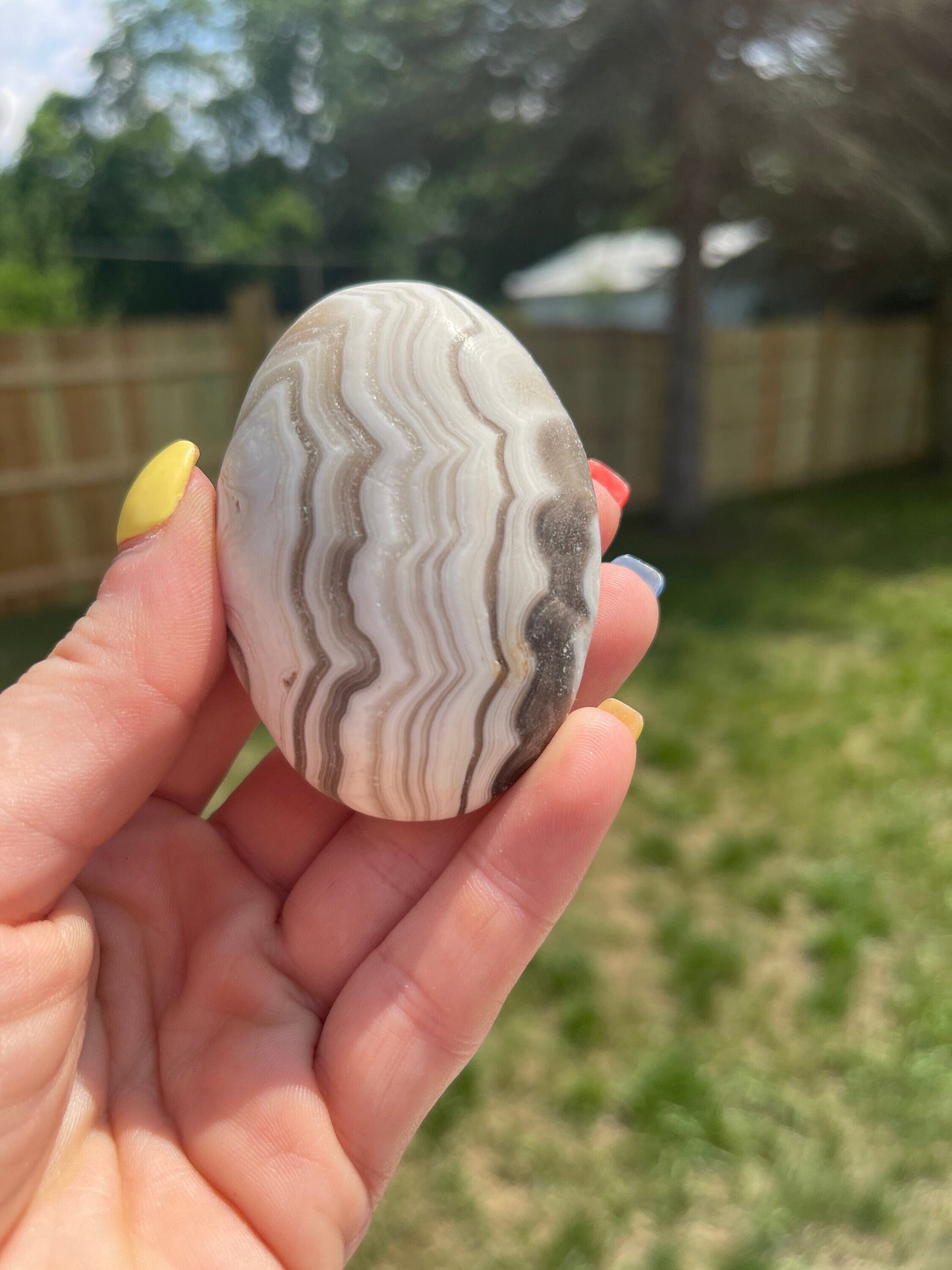 Zebra Calcite Palm Stone