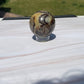 Septarian crystal sphere carving a | meditation | banding | creativity | crystal gift