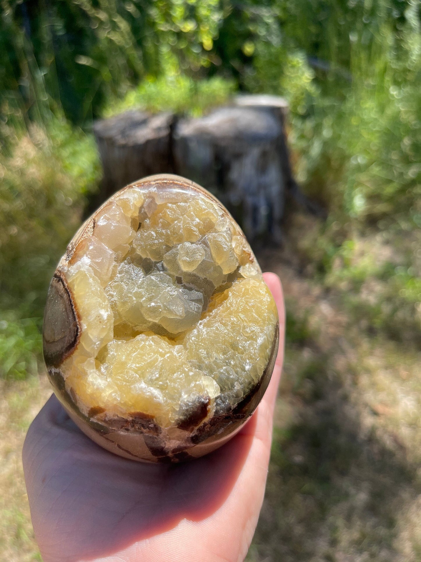 Septarian Nodule Egg