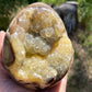 Septarian Nodule Egg
