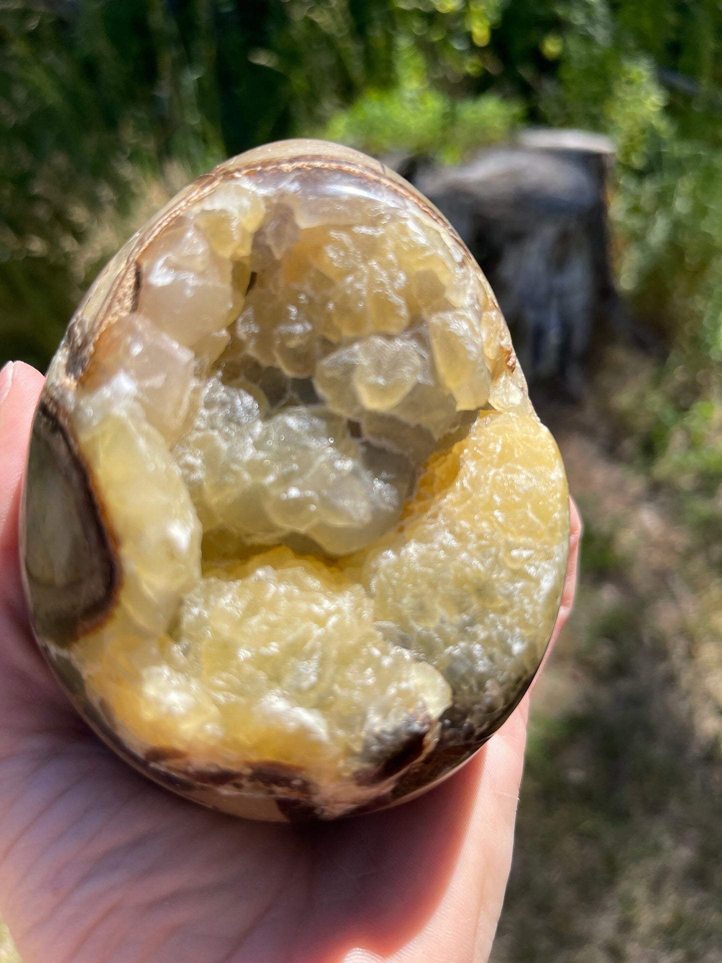 Septarian Nodule Egg