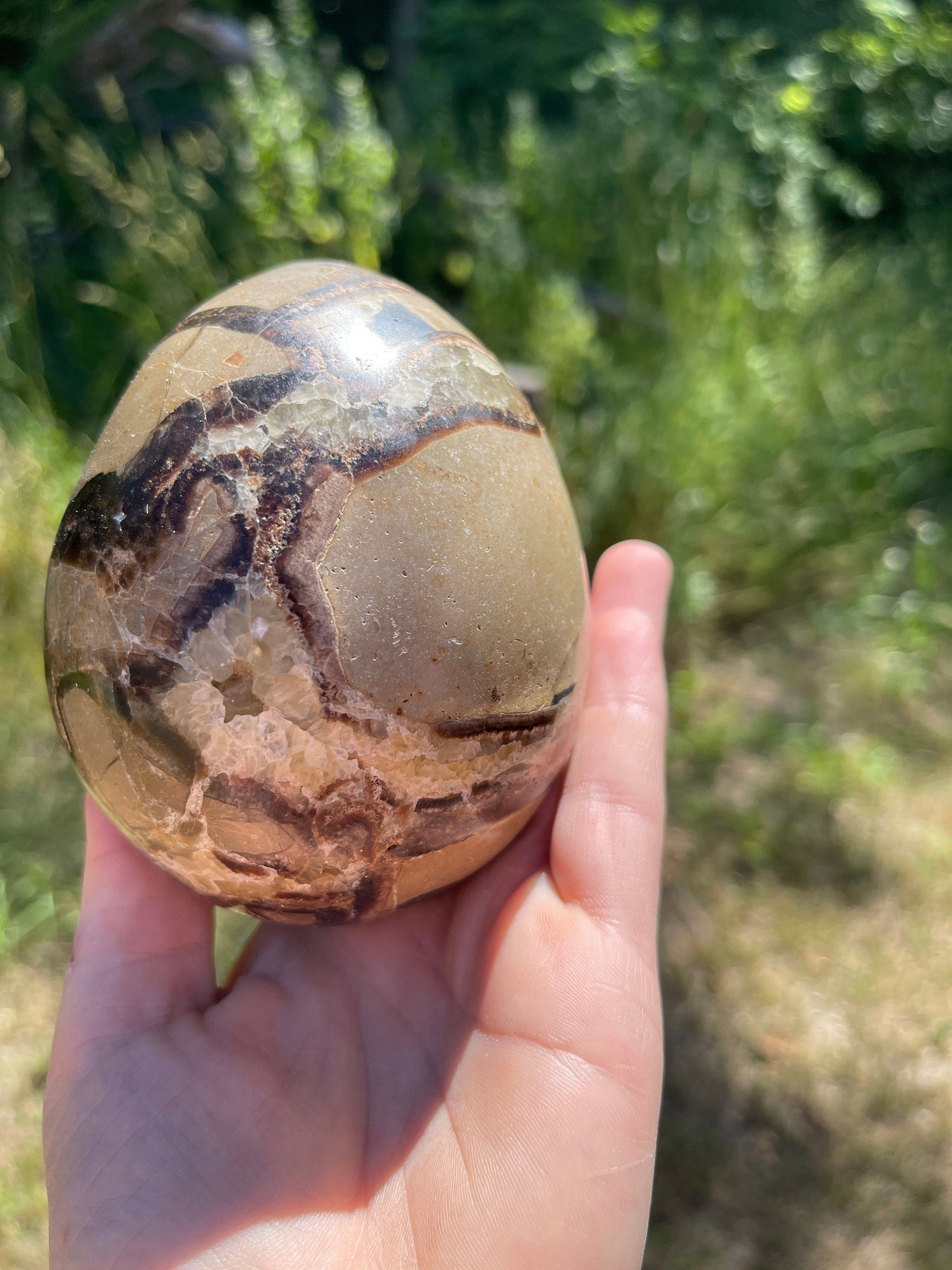 Septarian Nodule Egg