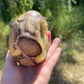 Septarian Nodule Egg