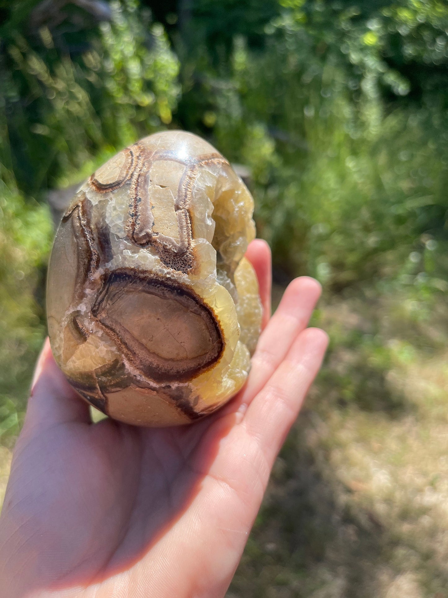 Septarian Nodule Egg