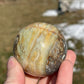 Caribbean Calcite Sphere