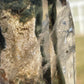 Lodolite Crystal Tower with Stand