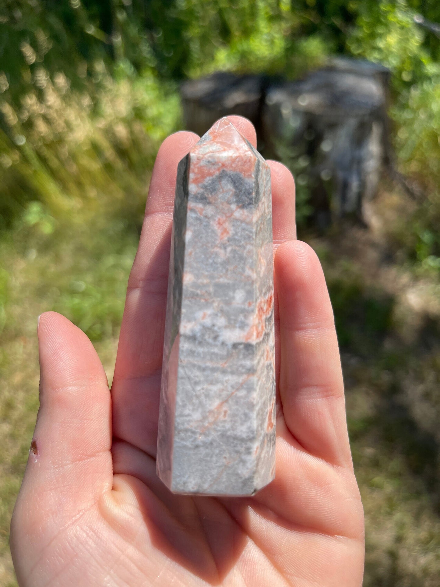 Pink zebra jasper