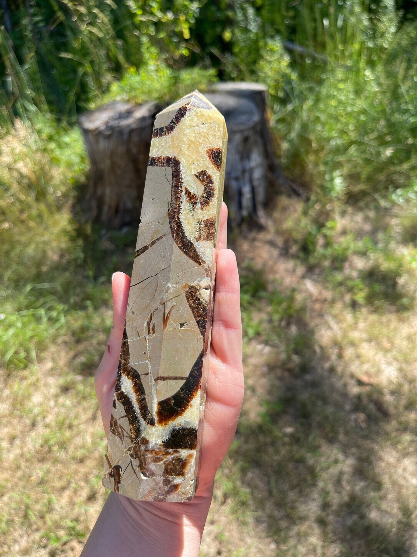 Septarian tower  | crystal gift | meditation stone