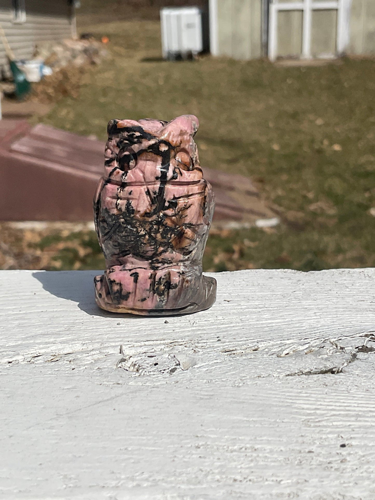 Rhodonite Owl Carving