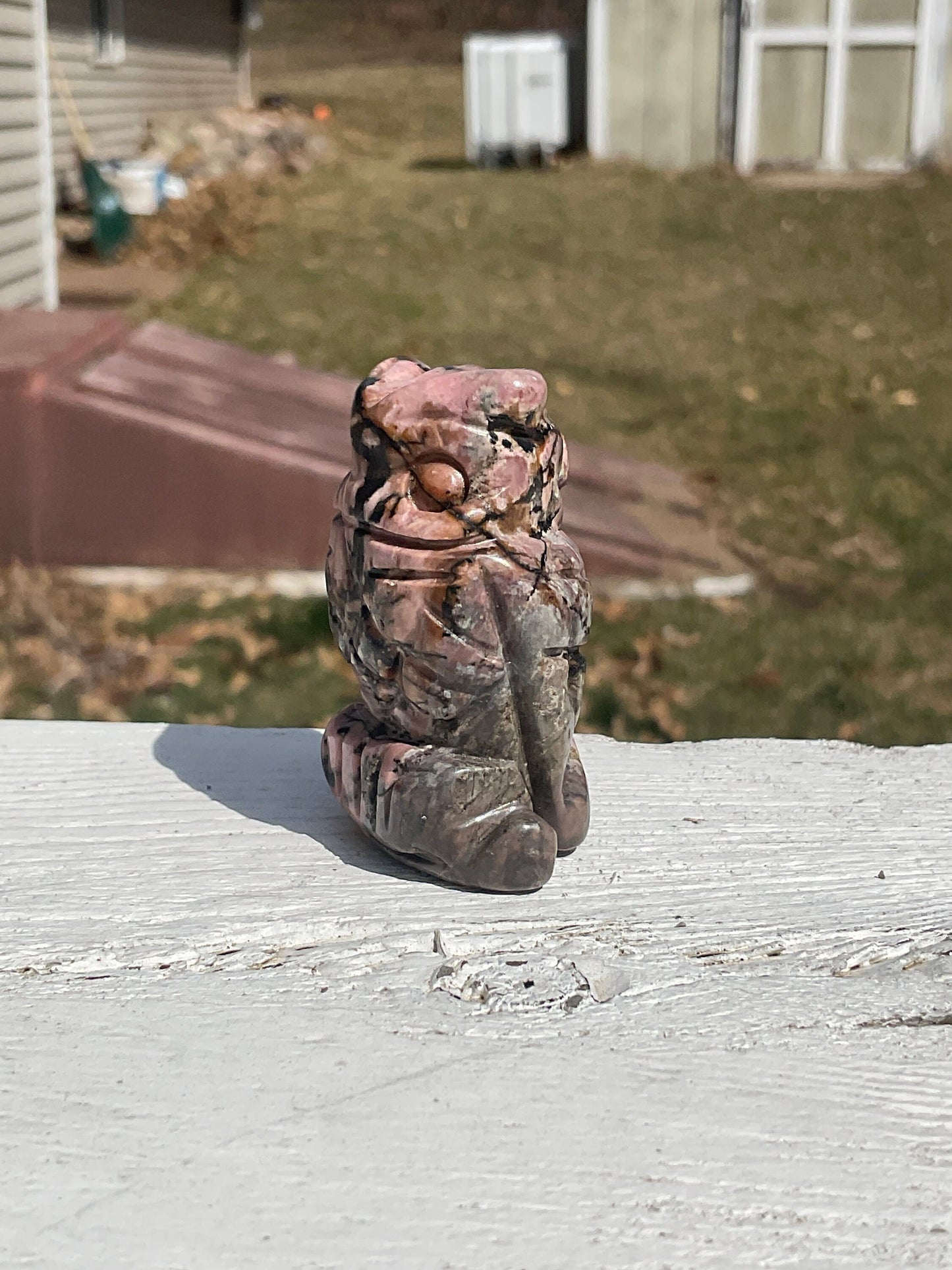 Rhodonite Owl Carving