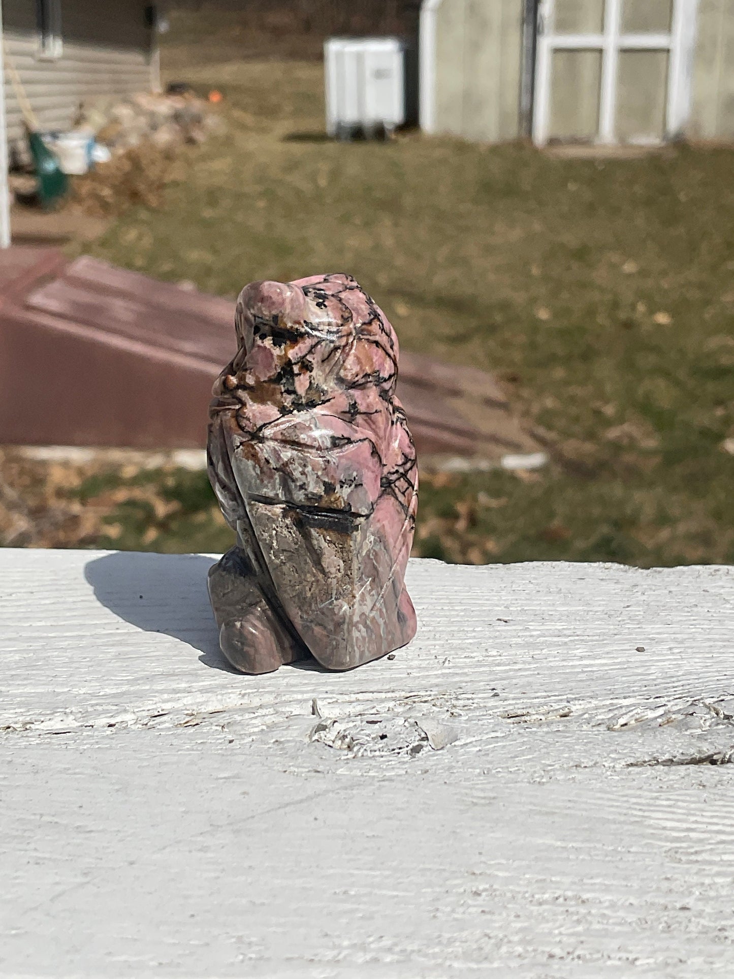 Rhodonite Owl Carving