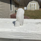 Clear Quartz Crystal Owl Carving