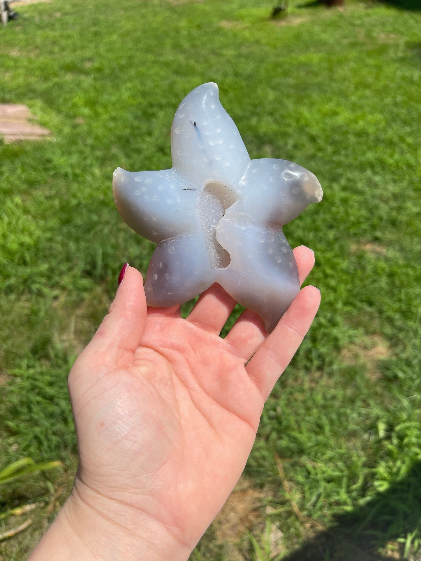 Druzy Agate Starfish with Tourmaline