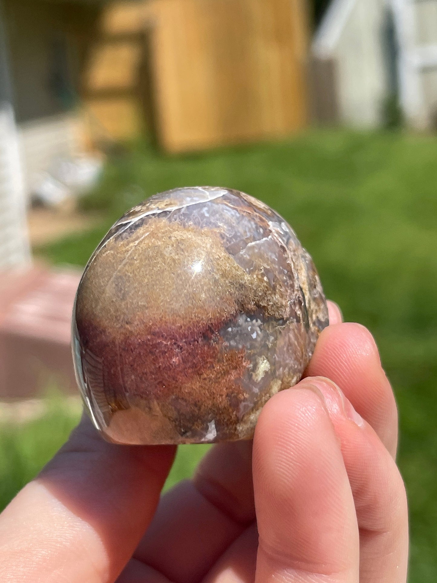 Ocean Jasper Skull Carving