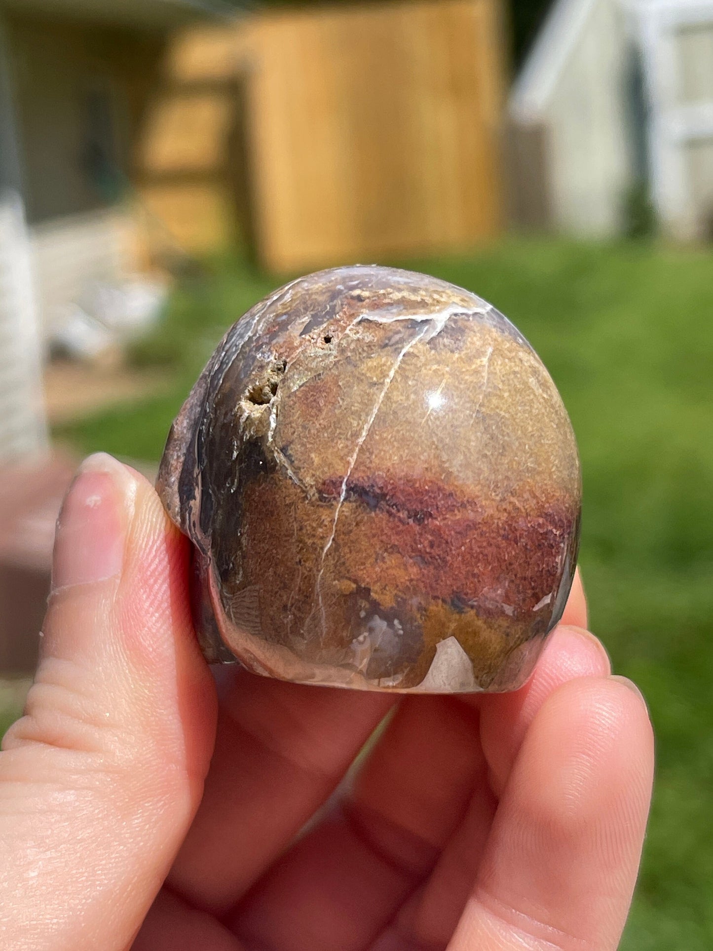 Ocean Jasper Skull Carving