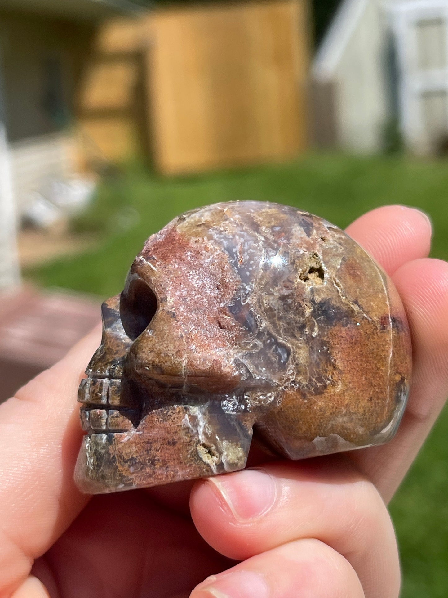 Ocean Jasper Skull Carving