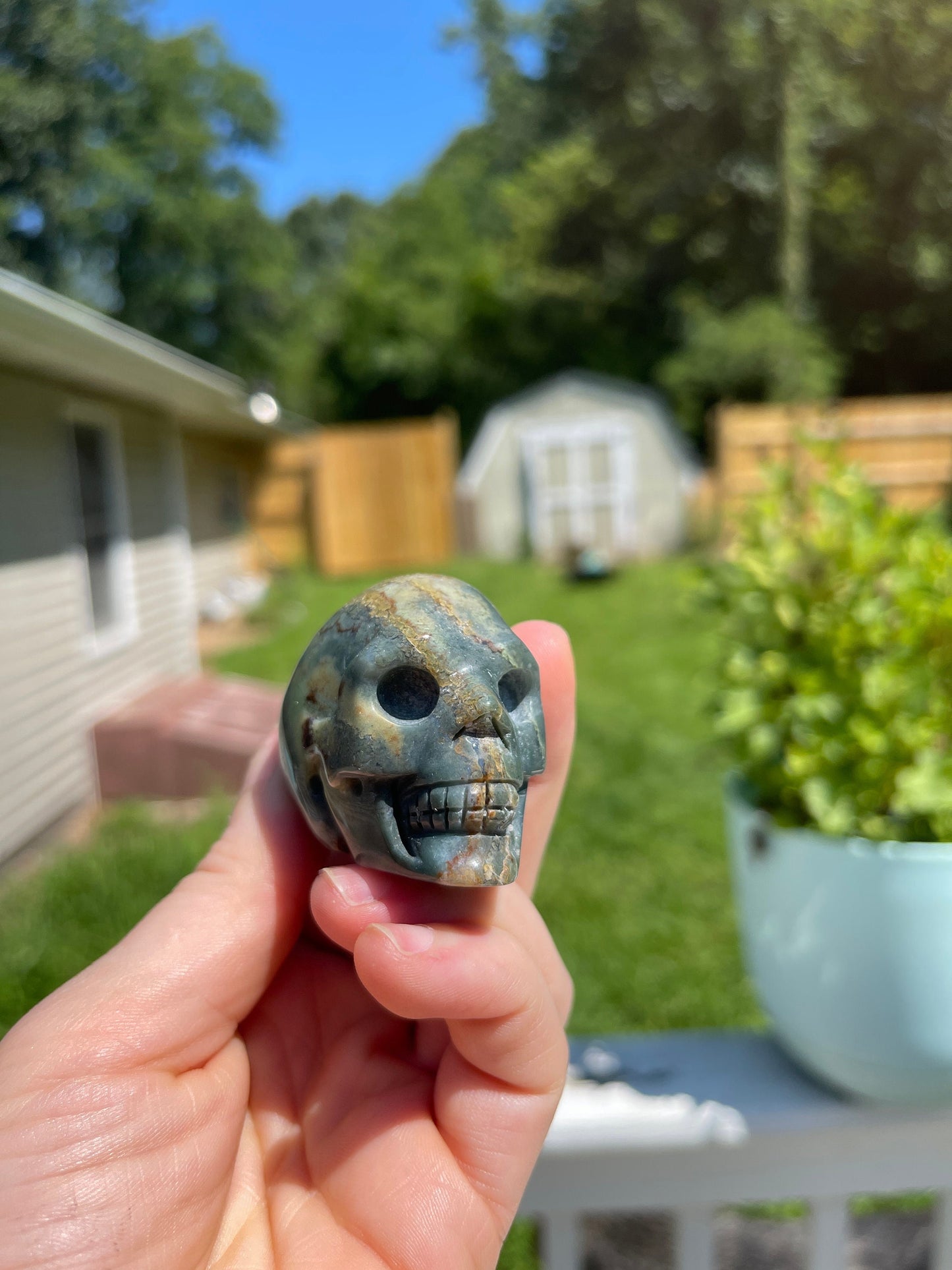 Ocean Jasper Skull Carving