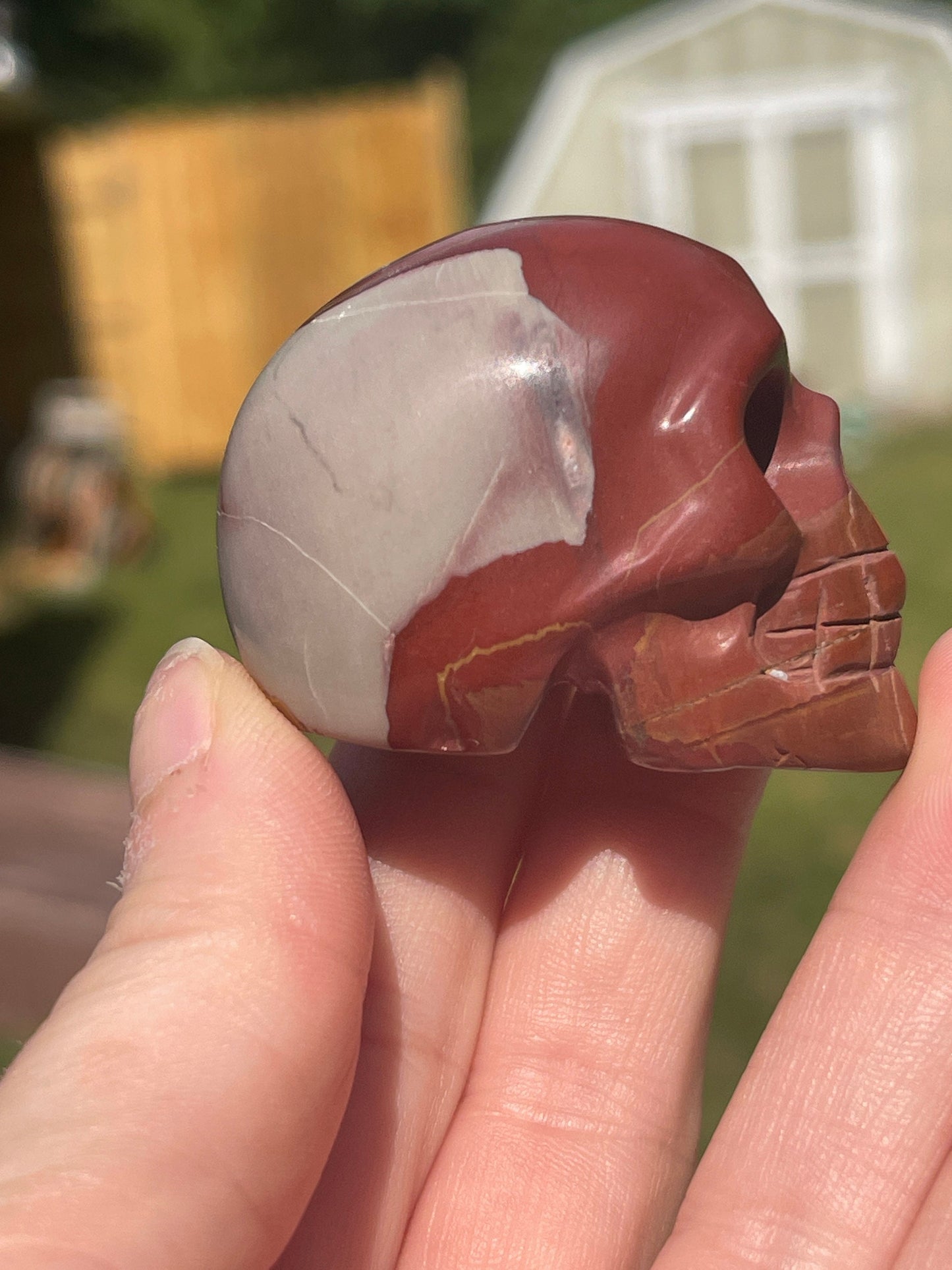 Noreena Jasper Skull Carving
