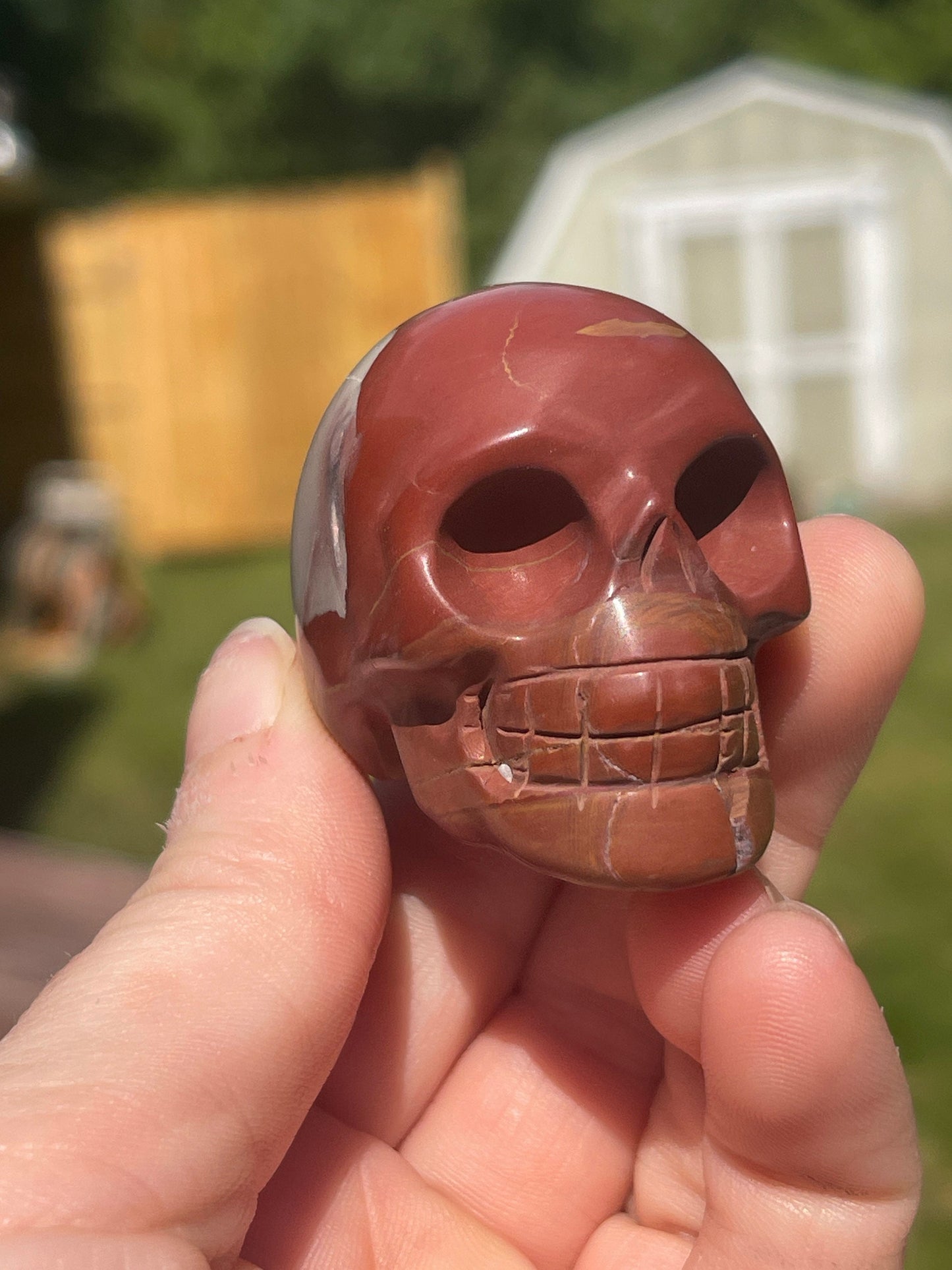 Noreena Jasper Skull Carving