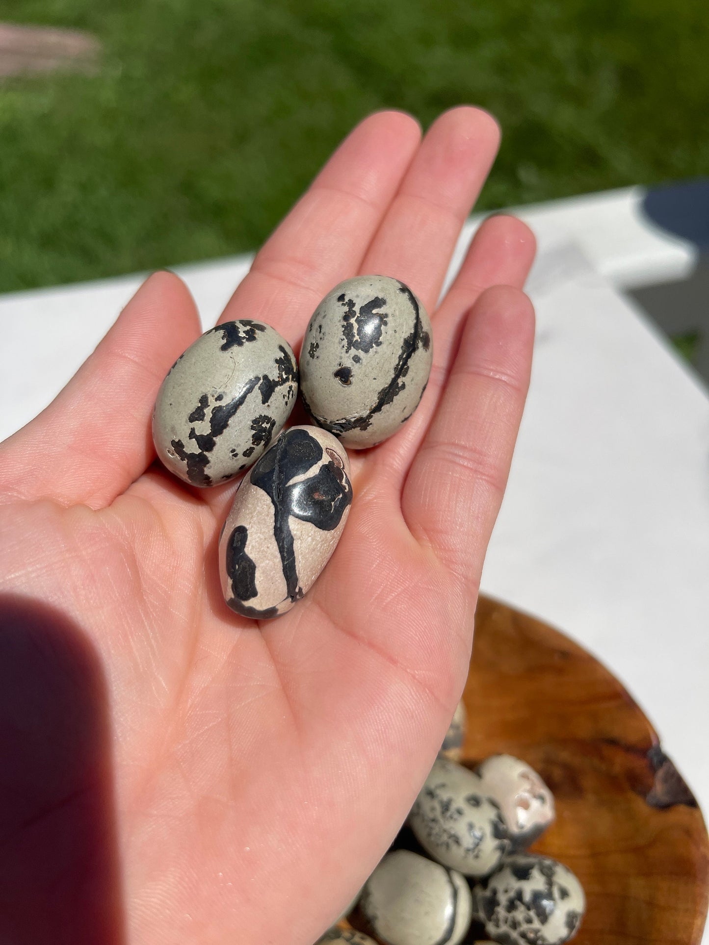 1 Dendritic Jasper Crystal Tumble