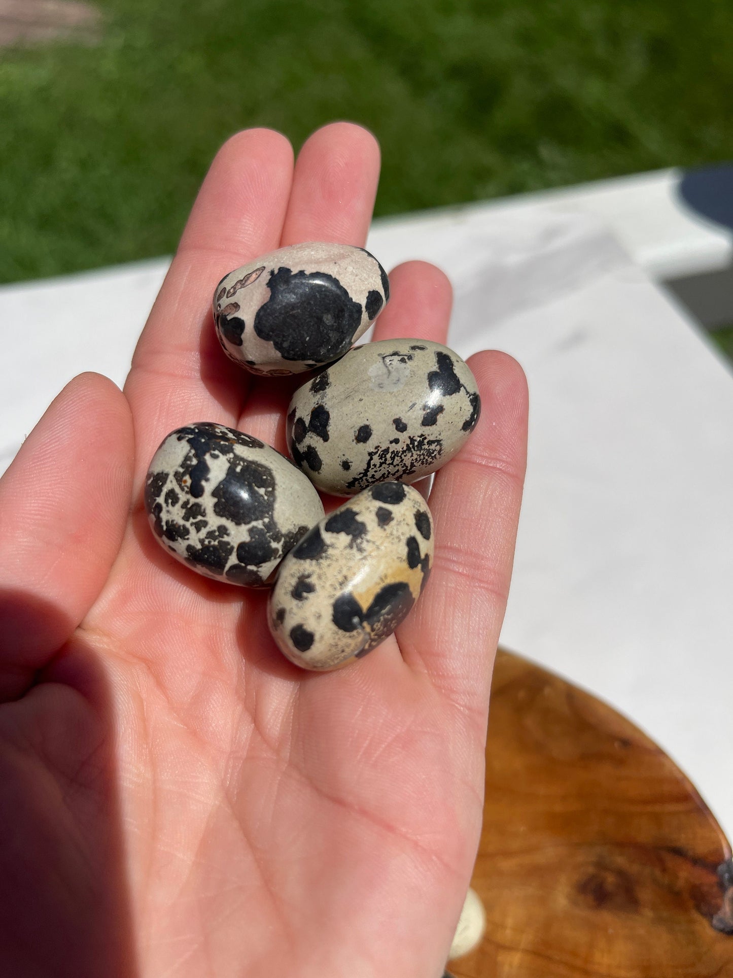 1 Dendritic Jasper Crystal Tumble