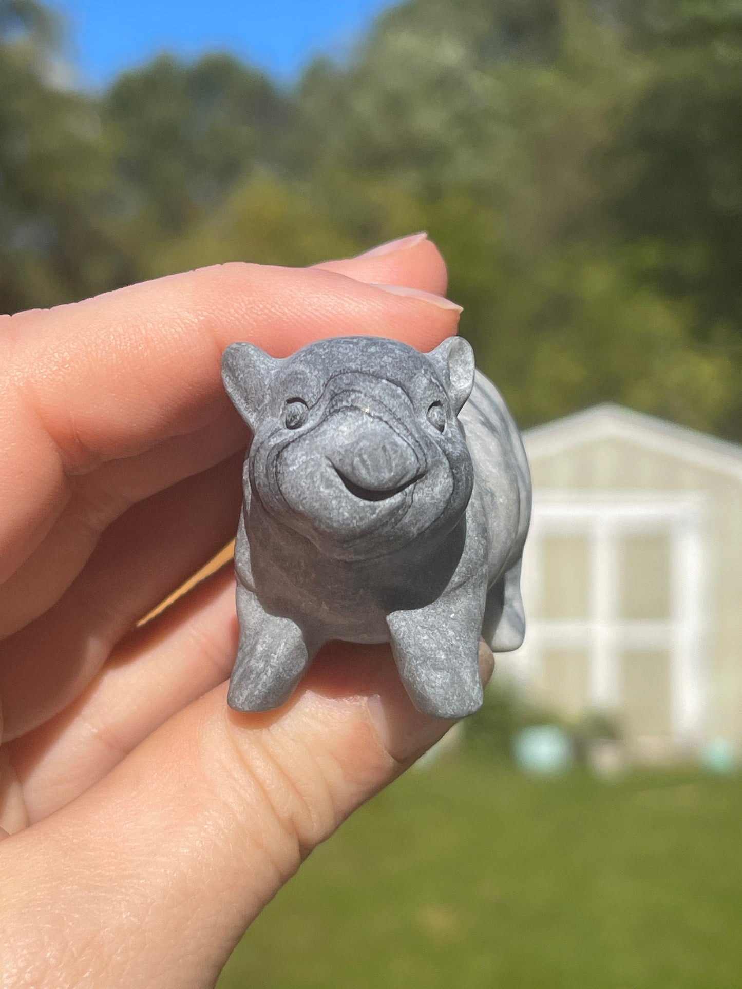 Tai Chi Jasper Pig Carving