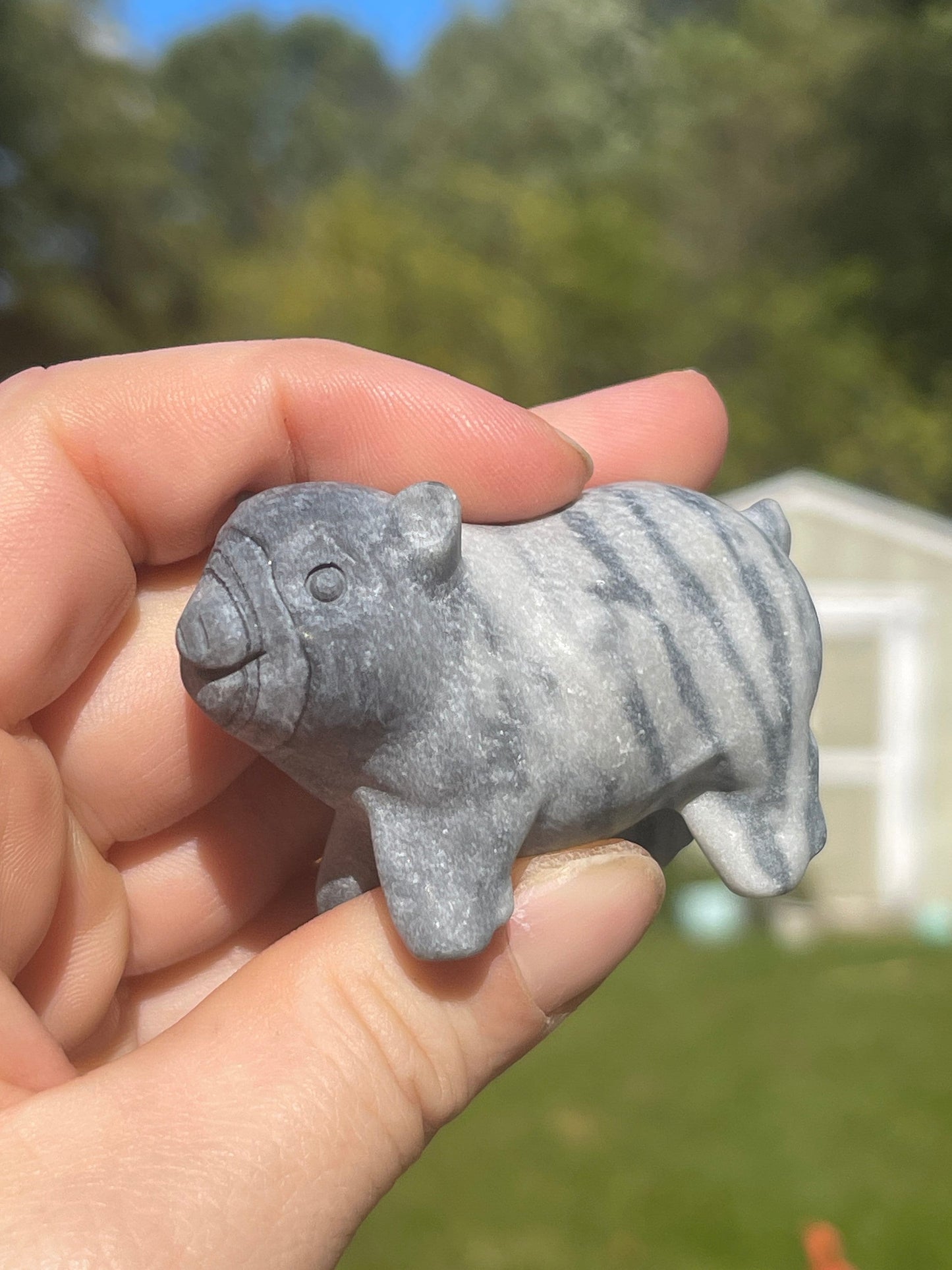 Tai Chi Jasper Pig Carving